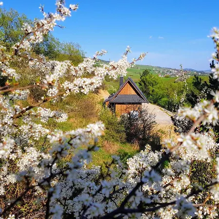 Osada 山林小屋 *