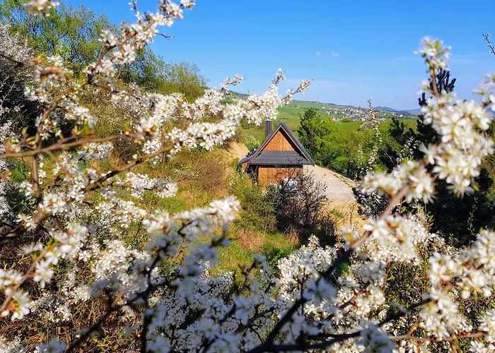 Osada אכסניה *